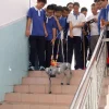 【 Rental Deposit 】 Yushu Intelligent Robot Dog Performance Electronic Summer Performance Exhibition Hall attracts more visitors and increases ticket sales Item Picture